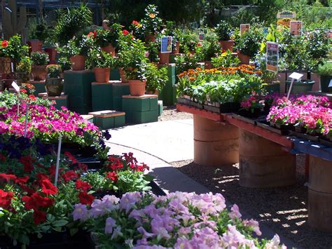 Plant nursery tucson. Things To Know About Plant nursery tucson. 